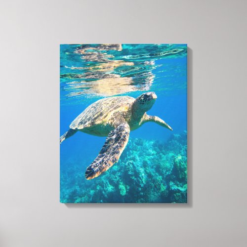 Swimming Sea Turtle Canvas Print