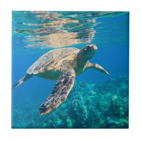 Swimming Sea Turtle Ceramic Tile