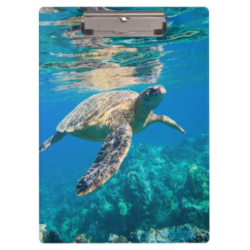 Swimming Sea Turtle Clipboard