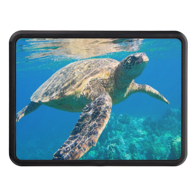 Swimming Sea Turtle Hitch Cover (Front)