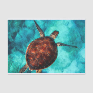 Swimming Sea Turtle in Blue Ocean Water Tissue Paper