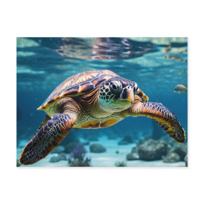 Swimming Sea Turtle in the Ocean Postcard