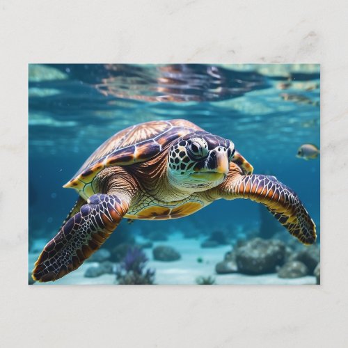 Swimming Sea Turtle in the Ocean Postcard