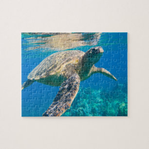 Swimming Sea Turtle Jigsaw Puzzle
