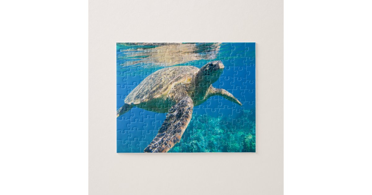 Swimming Sea Turtle Jigsaw Puzzle | Zazzle.com