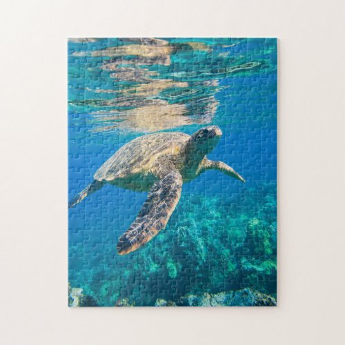 Swimming Sea Turtle Jigsaw Puzzle