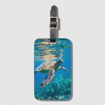 Swimming Sea Turtle Luggage Tag by beachcafe at Zazzle