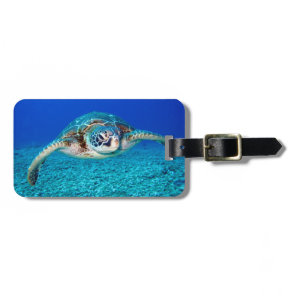 Swimming Sea Turtle Luggage Tag