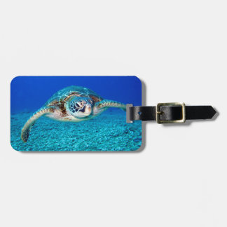 Swimming Sea Turtle Luggage Tag