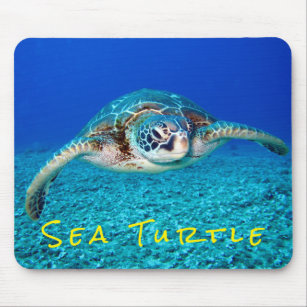 Swimming Sea Turtle Mouse Pad