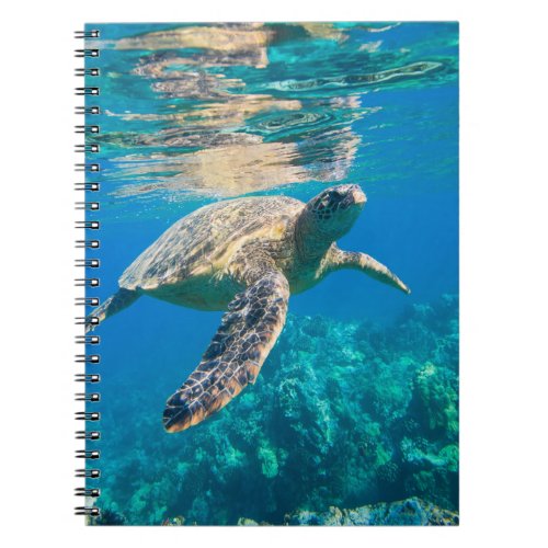 Swimming Sea Turtle Notebook