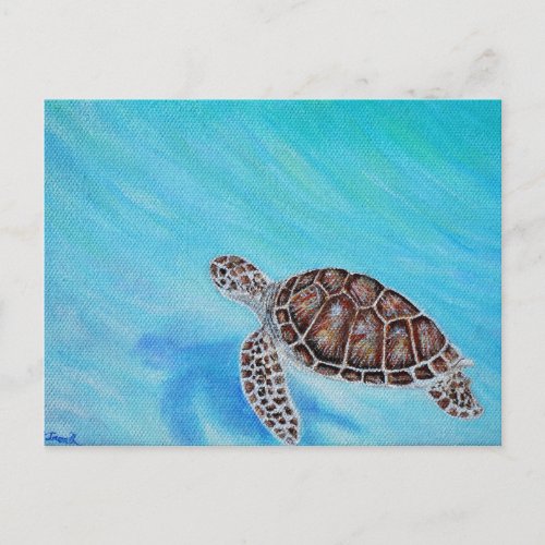 Swimming Sea Turtle Painting Postcard