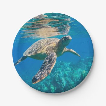 Swimming Sea Turtle Paper Plates by beachcafe at Zazzle
