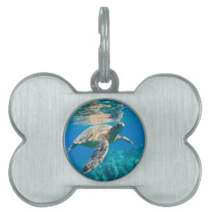 Swimming Sea Turtle Pet Name Tag