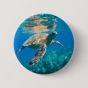Swimming Sea Turtle Pinback Button