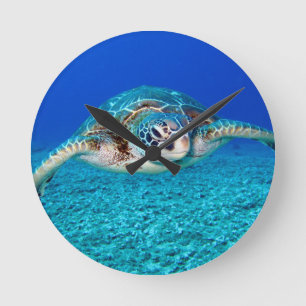 Swimming Sea Turtle Round Clock