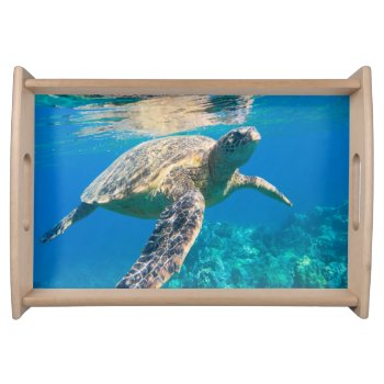 Swimming Sea Turtle Serving Tray by beachcafe at Zazzle