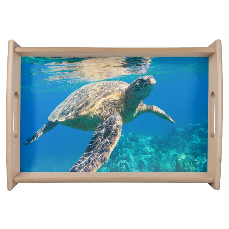 Swimming Sea Turtle Serving Tray Zazzle