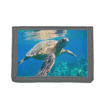 Swimming Sea Turtle Tri-fold Wallet by beachcafe at Zazzle