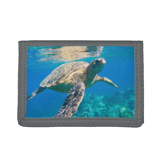 Swimming Sea Turtle Tri-fold Wallet (Front)