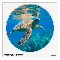 Swimming Sea Turtle