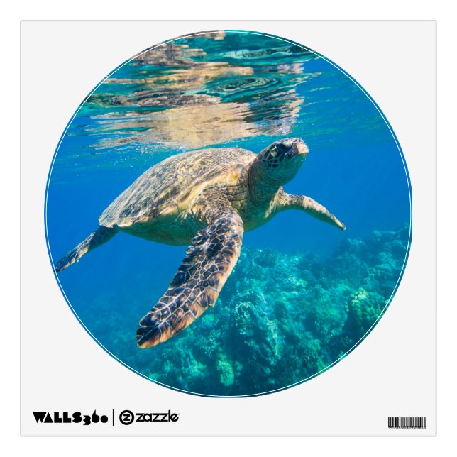 Swimming Sea Turtle Wall Sticker (Front)