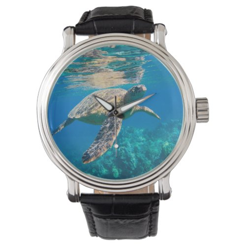 Swimming Sea Turtle Watch