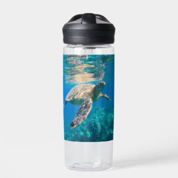Swimming Sea Turtle Water Bottle by beachcafe at Zazzle