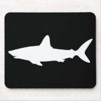 Swimming Shark