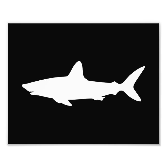 Swimming Shark Photo Print (Front)