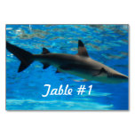 Swimming Shark Table Number