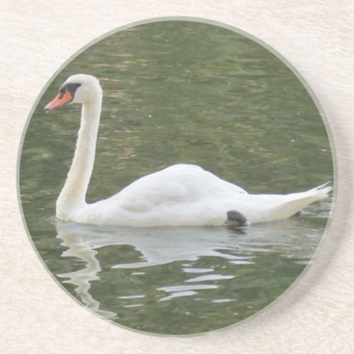 Swimming Swan Coaster