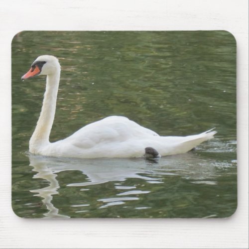 Swimming Swan Mousepad