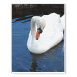 Swimming Swan Temporary Tattoos