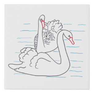 Swimming Swans Outline Drawing Paint It Canvas