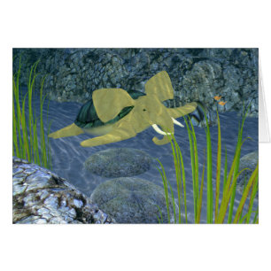 Swimming Turphant Cards