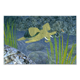 Swimming Turphant Photo Print