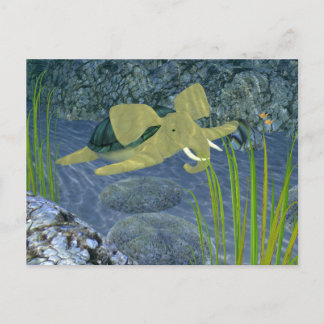 Swimming Turphant Postcard