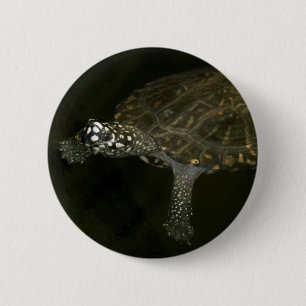 Swimming Turtle Button