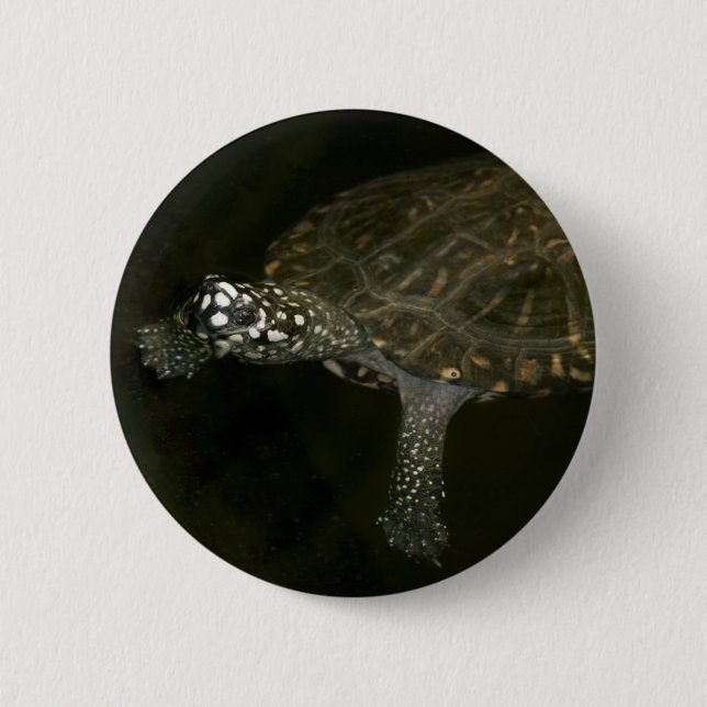 Swimming Turtle Button (Front)