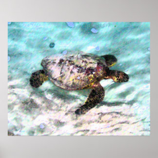 Swimming Turtle Canvas Prints