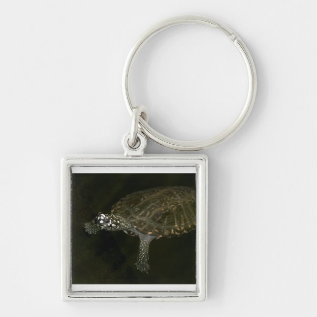 Swimming Turtle Keychain (Front)