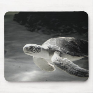 Swimming Turtle Mouse Pad