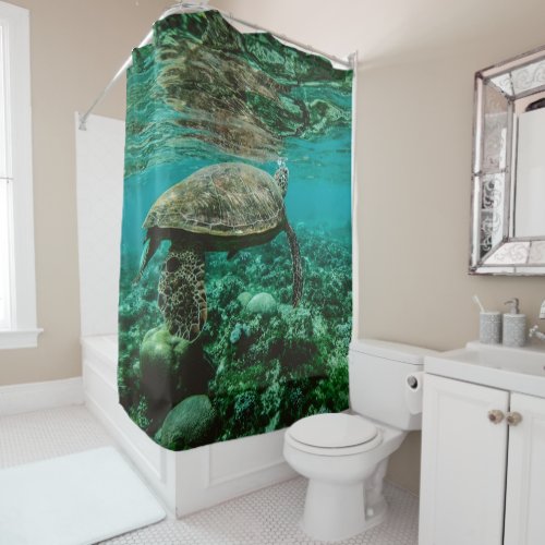 Swimming Turtle Shower Curtain