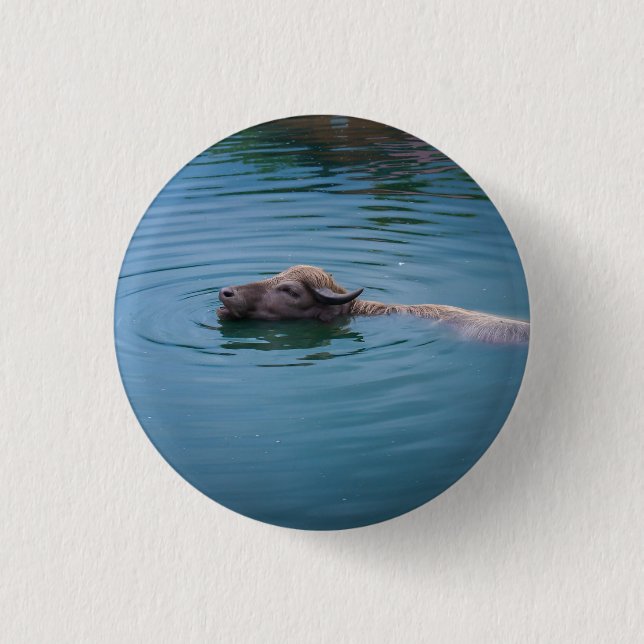 Swimming Water Buffalo Button (Front)