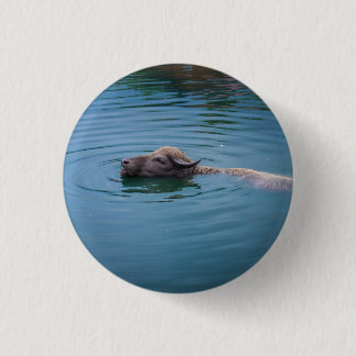Swimming Water Buffalo Button