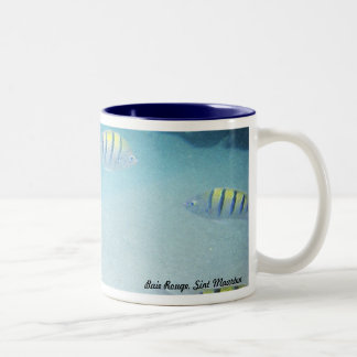 Swimming with fishes mug