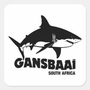 Swimming With Great White Sharks - Gansbaai Diving Square Sticker