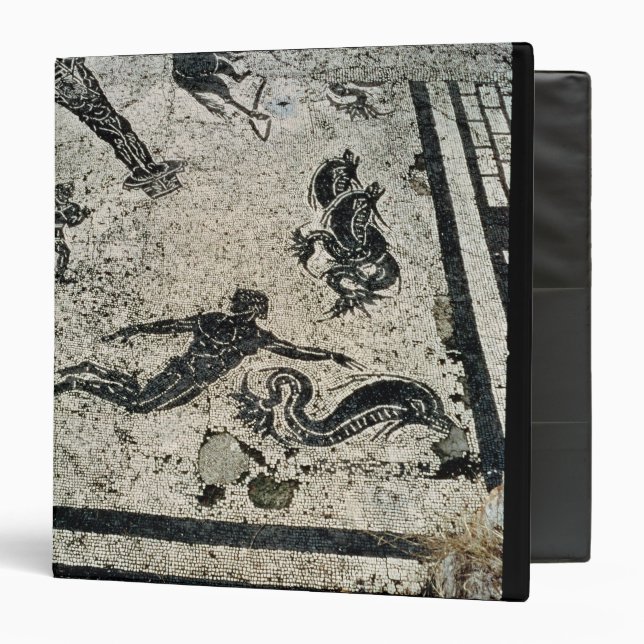 Swimming with the Dolphins, from the Frigidarium o 3 Ring Binder (Front/Inside)