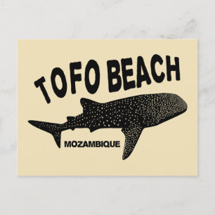 Swimming With Wale Sharks - Tofo Beach Mozambique Postcard